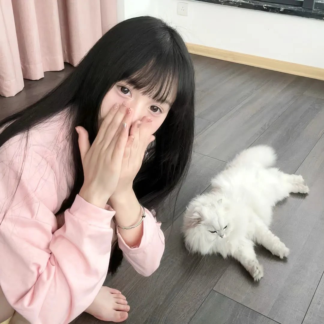 飞哥正传
